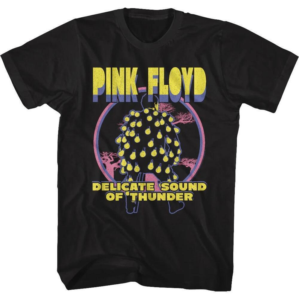Delicate Sound Of Thunder Floyd Tshirt